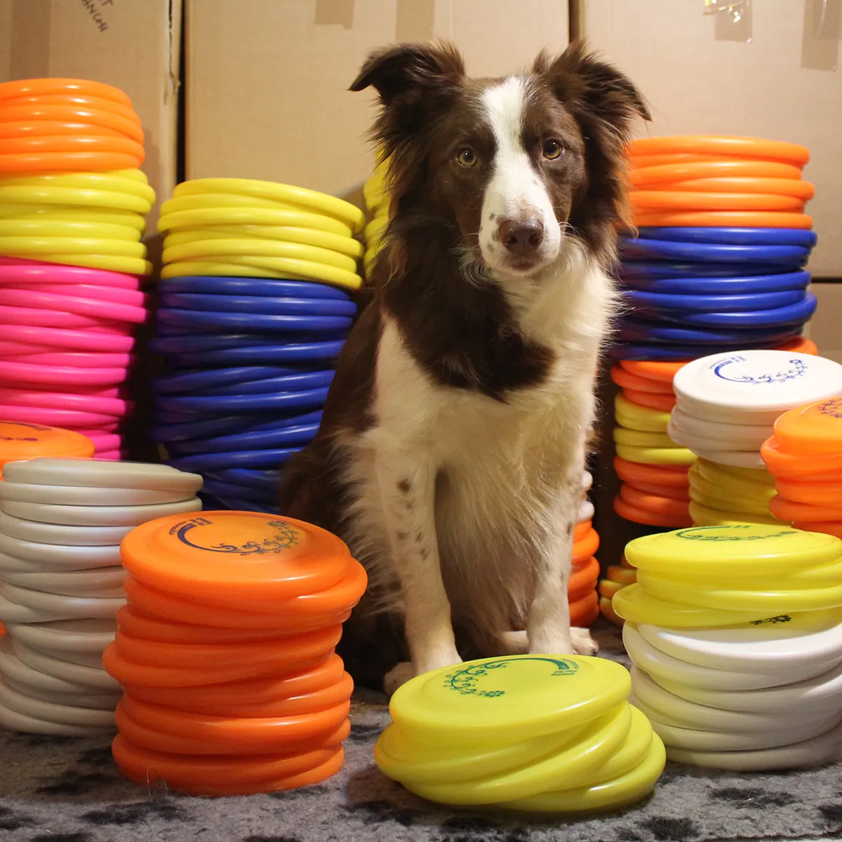 Spring time news from mamadisc